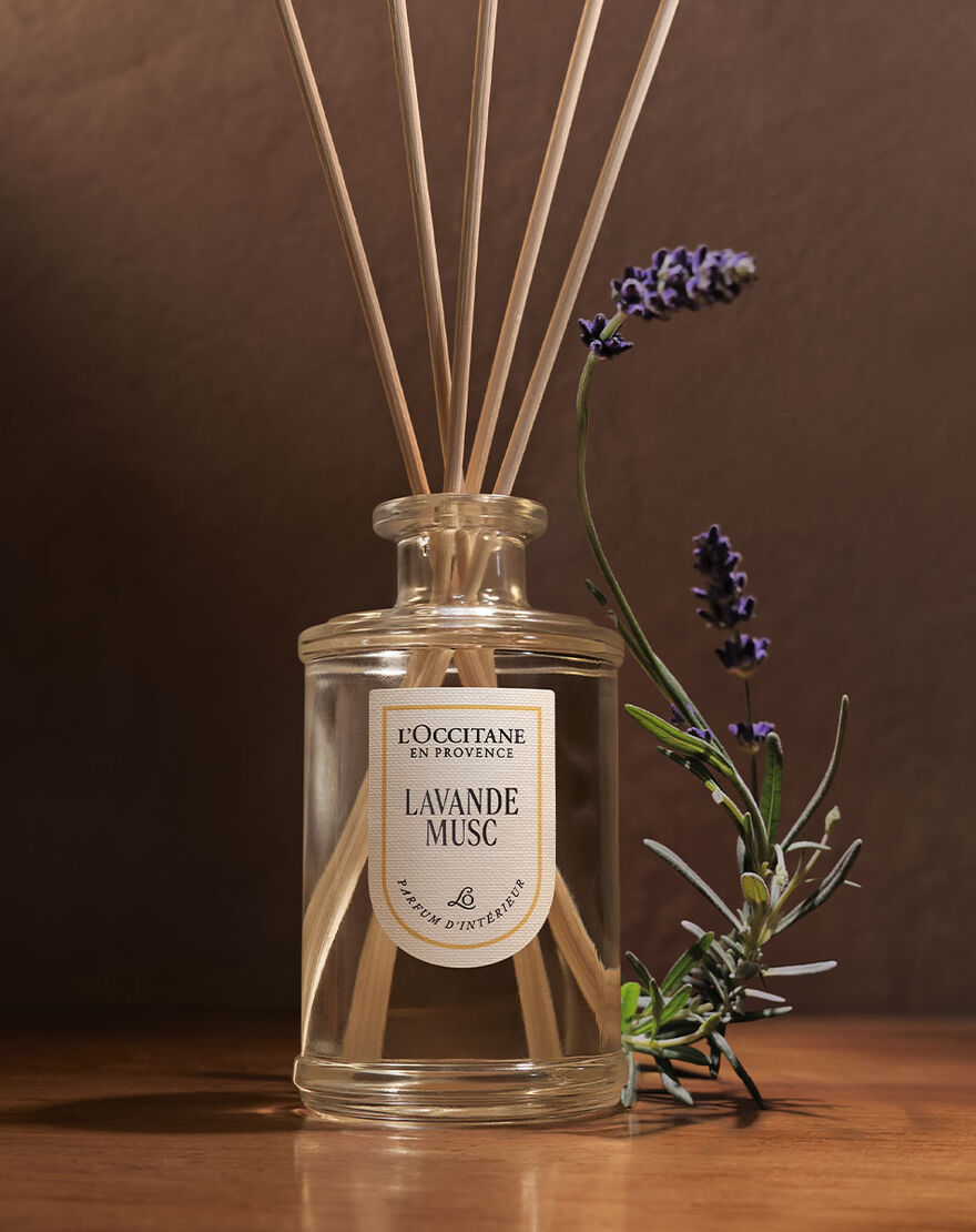 Set of 10 Rattan Reeds