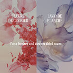 لوشن الجسم لافاند بلونش (اللافندر الأبيض) لوشن الجسم لافاند بلونش اللافندر الأبيض