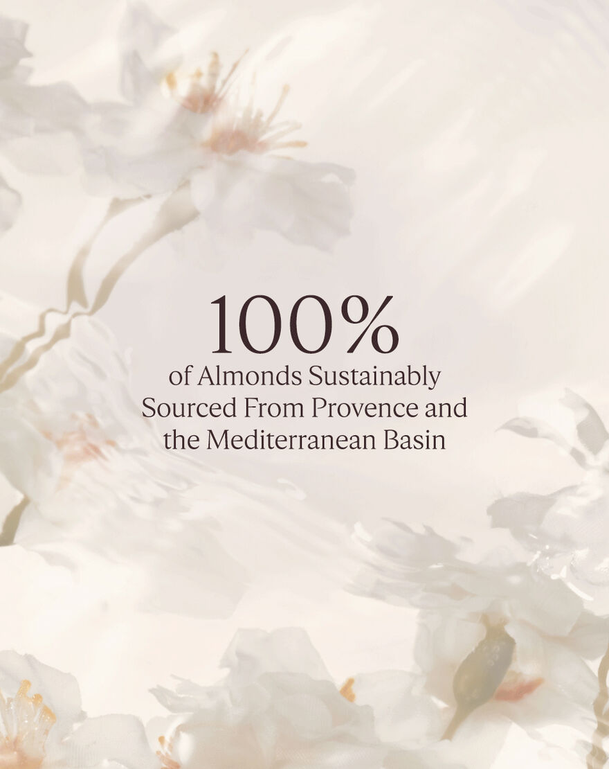 Almond Shower Oil