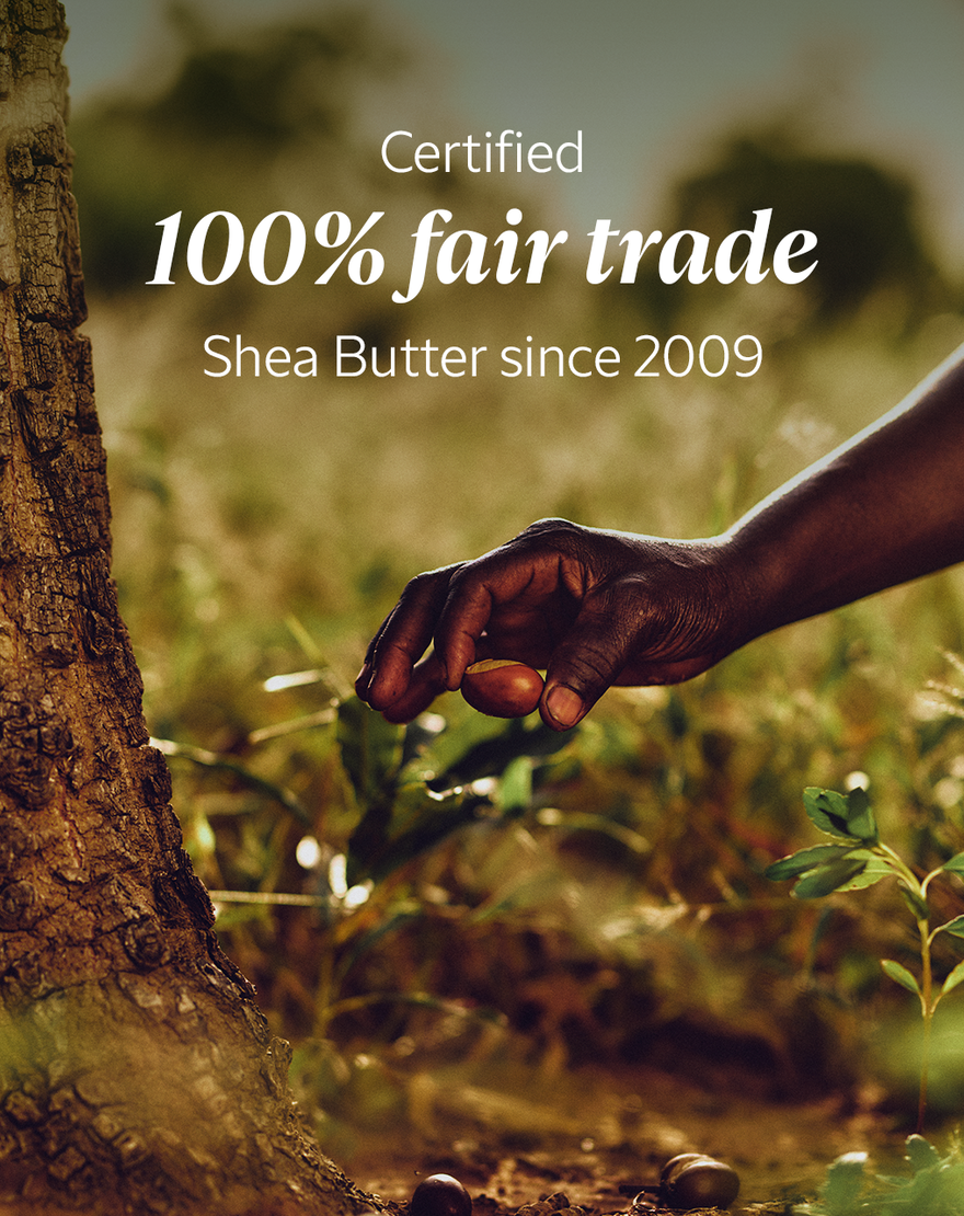 Shea Bi-Phase Face Serum shea bi phase face serum