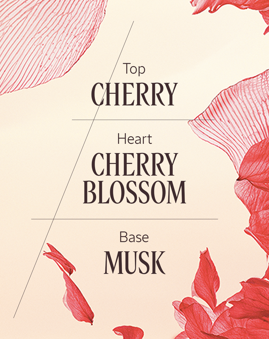 Fleurs De Cerisier (Cherry Blossom) Collection fleurs de cerisier cherry blossom collection