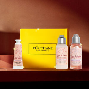 توزيعات زهرة الكرز توزيعات زهرة الكرز