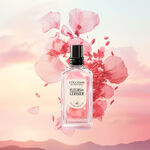 ثنائي الانتعاش ثنائي الانتعاش