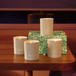 شمعة أوسمانثوس شمعة أوسمانثوس