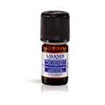 PDO Lavender Essential Oil pdo lavender essential oil