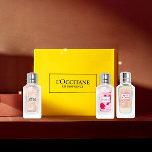 توزيعات العطور توزيعات العطور