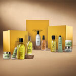 Almond Favourite Essentials almond favourite essentials