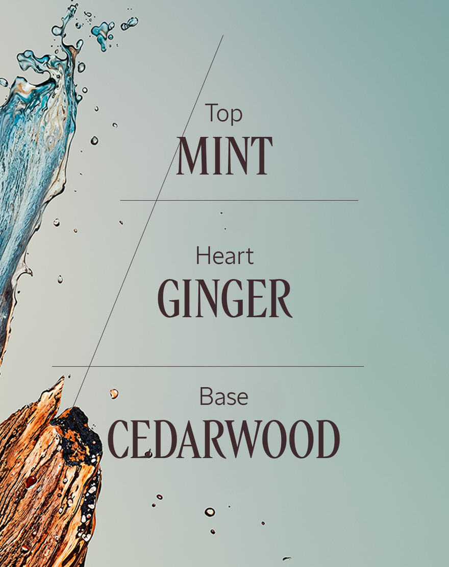 C&egrave;dre Gingembre (Cap Cedrat) Eau De Toilette