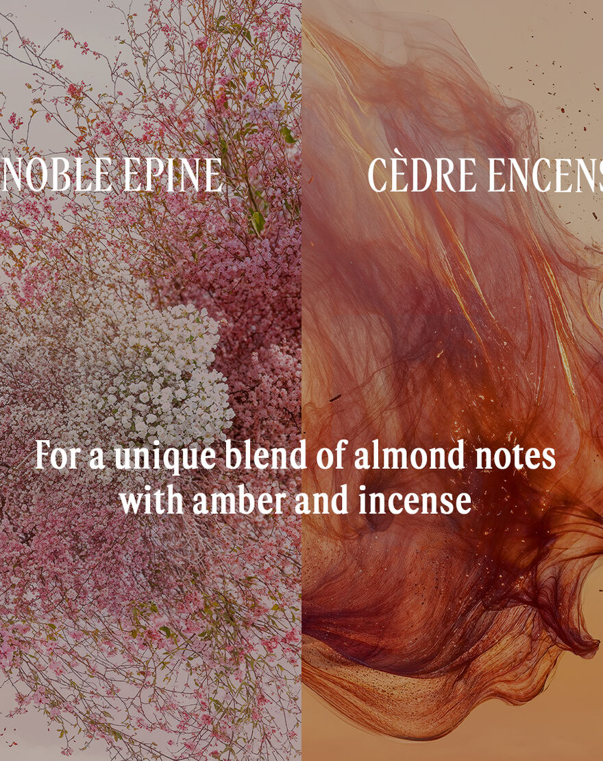 Noble Épine Eau De Parfum noble pine eau de parfum