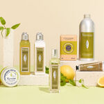 Verbena Body Lotion verbena body lotion