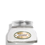 Almond Milk Concentrate