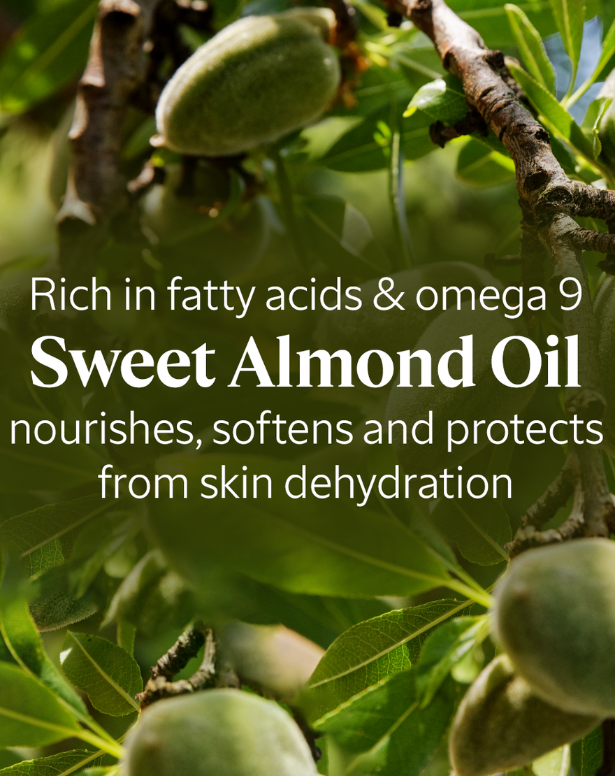 Delicious Almond Trio delicious almond trio