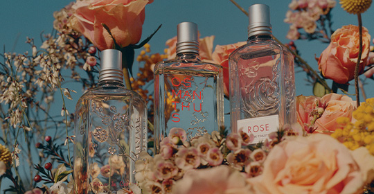 86 Intense Musk Rose EDP | Fragrances & Home | L'Occitane Kuwait