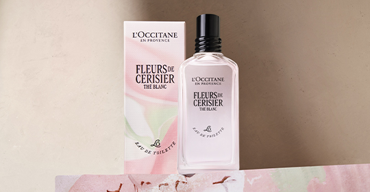 Fleurs de Cerisier Th&eacute; Blanc