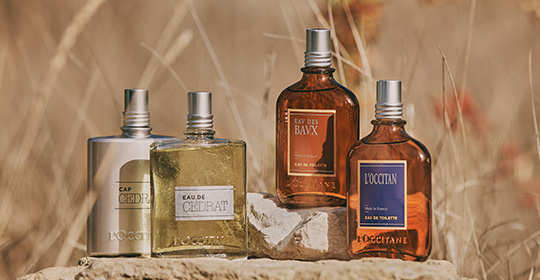 Terre de Lumière L'Eau Eau de Toilette | Fragrances & Home