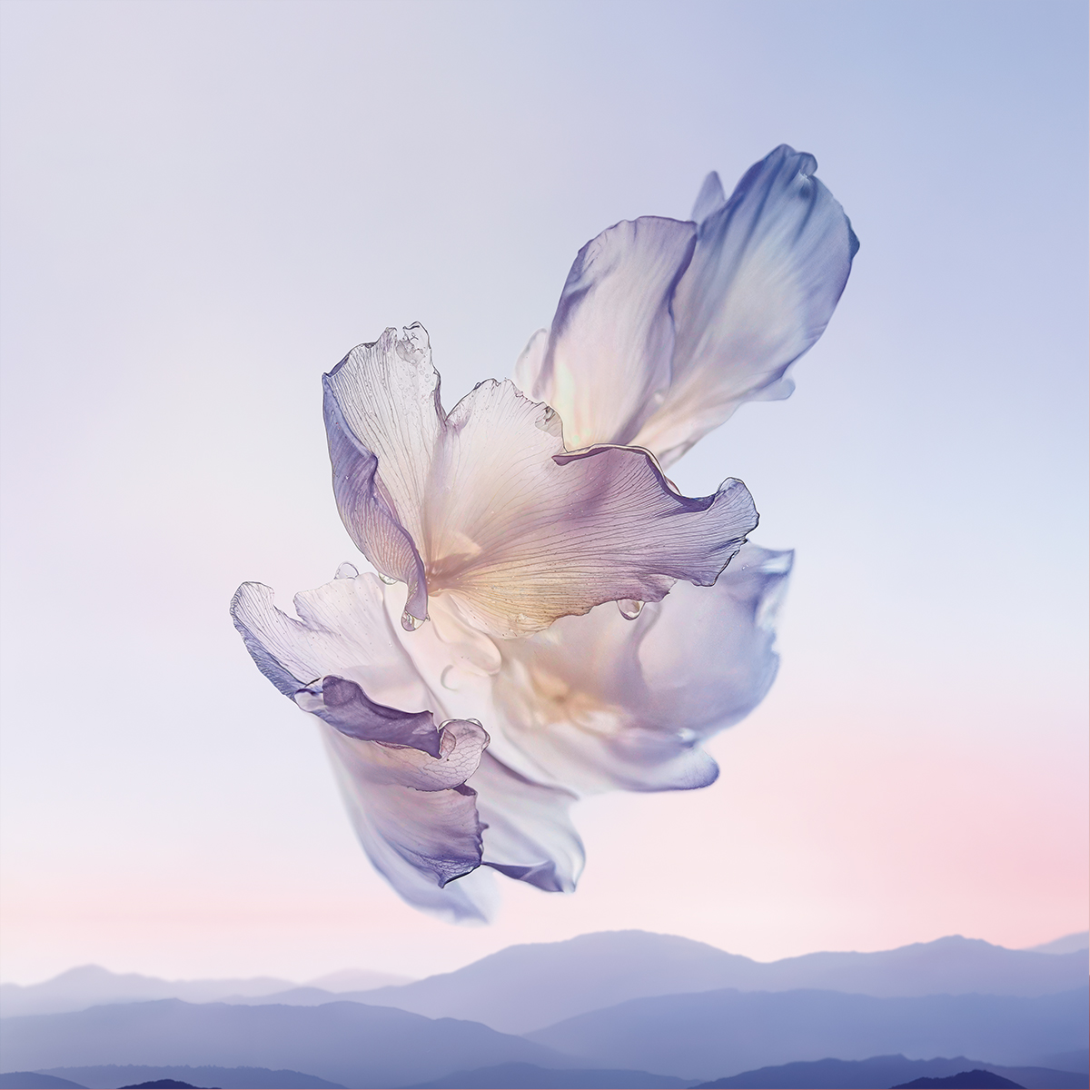 Provence's Flora Perfume Bottle